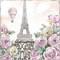 Paris Roses VI Poster Print by Beth Grove - Item # VARPDX22914
